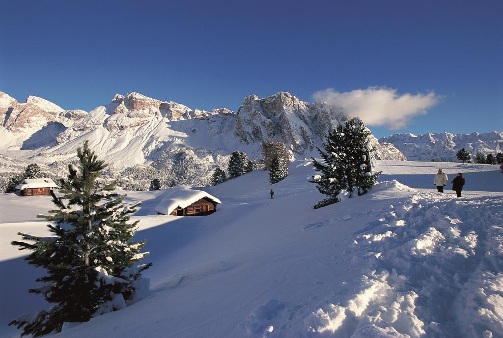 Apartments La Baita Santa Cristina Val Gardena Ngoại thất bức ảnh